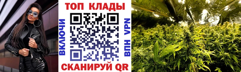 Как найти закладки Рассказово Alpha-PVP  Меф  ГАШИШ  Каннабис 